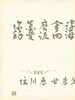 你怎么舍得让我的爱流向海