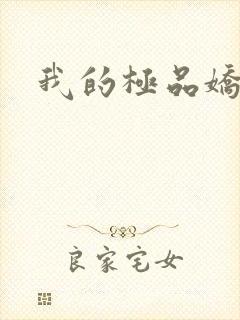 我的极品娇妻