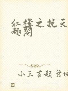 红楼之挽天倾笔趣阁