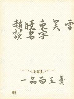 赵晓东吴雪晴小说名字