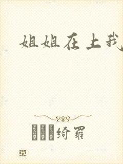 姐姐在上我在下封面