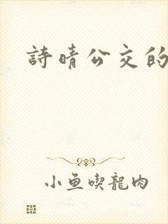 诗晴公交的小说