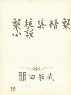 系统集精系统 小说