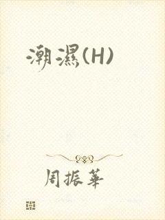 潮湿(H)