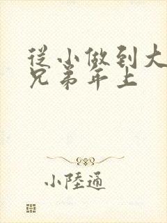 从小做到大骨科兄弟年上