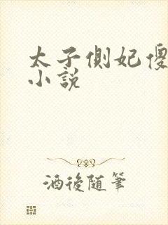 太子侧妃傻乎乎小说