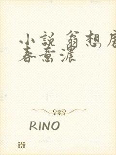 小说 翁想房中春意浓