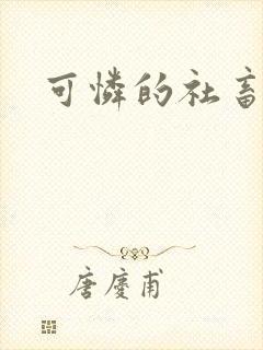 可怜的社畜分手封面