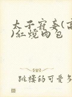 太子宠妾(高肉)红烧肉包