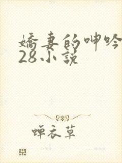 娇妻的呻吟1—28小说