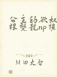 公主的欲奴h四根双龙np视频