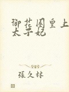 御花园皇上撞着太子妃