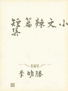 短篇辣文小说合集