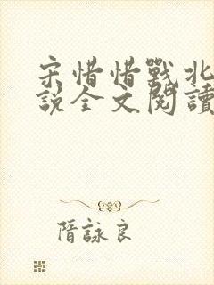 宋惜惜战北望小说全文阅读
