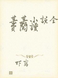 某某小说全文免费阅读