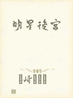 明星后宫