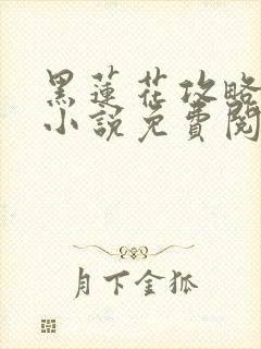 黑莲花攻略手册小说免费阅读全文