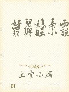 好儿媳秦雨罗明罗兴旺小说