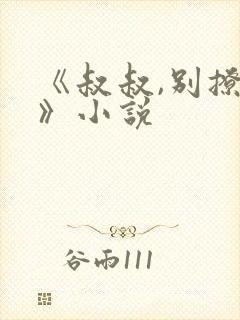 《叔叔,别撩我》小说