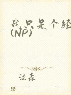 我只是个经纪人(NP)