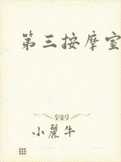 第三按摩室小说