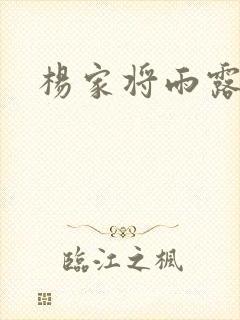 杨家将雨露均沾封面