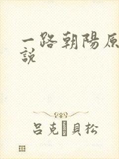 一路朝阳原著小说