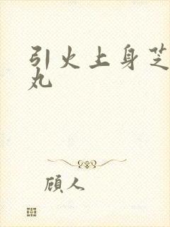 引火上身芝麻糖丸