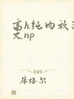 高h纯肉放荡h文np