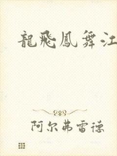 龙飞凤舞江一龙封面