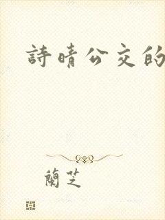 诗晴公交的小说