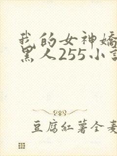 我的女神娇妻与黑人255小说