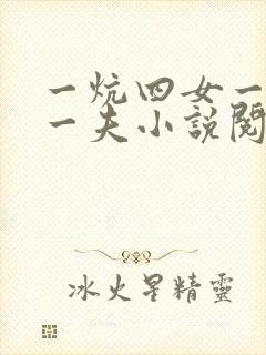 一炕四女一共侍一夫小说阅读