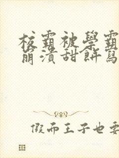 校霸被学霸玩到崩溃甜饼写手