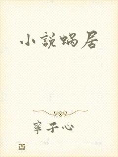 小说蜗居