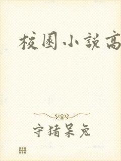 校园小说高h