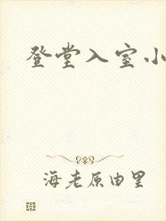 登堂入室小说