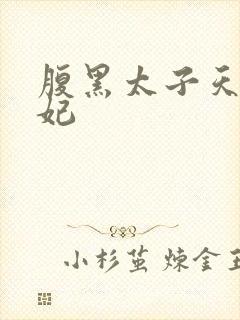 腹黑太子天降萌妃