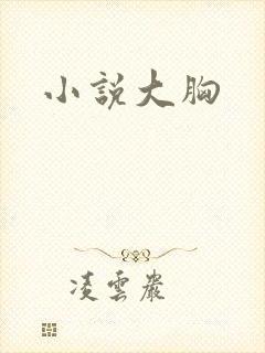 小说大胸