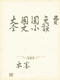 大团圆免费阅读全文小说封面