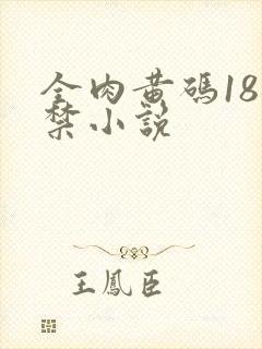 全肉黄码18无禁小说