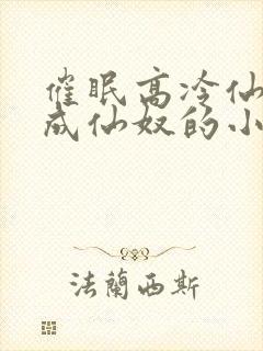 催眠高冷仙奴变成仙奴的小说