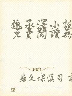 魏承泽小说全文免费阅读无弹窗笔趣