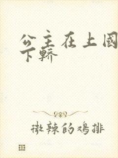 公主在上国师请下轿