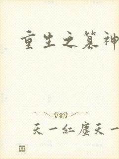 重生之篡神
