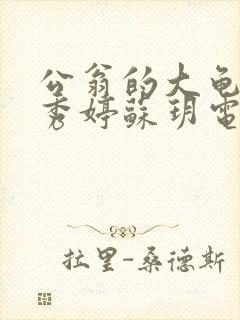 公翁的大龟挺进秀婷苏玥电影