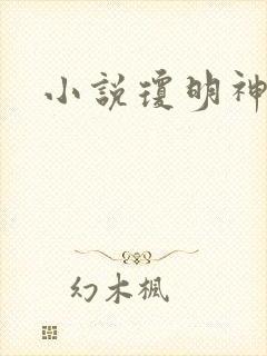 小说琼明神女录