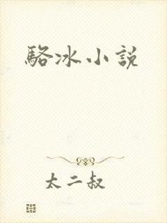 骆冰小说