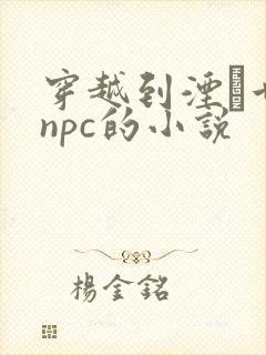 穿越到湮婸世界npc的小说