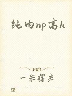 纯肉np高h